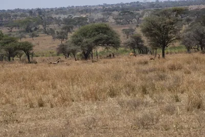 DSC_4004 (Large).JPG